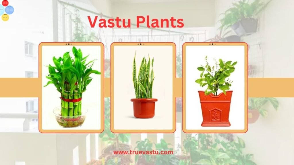 Vastu-Plants