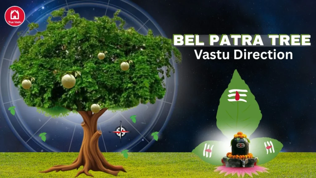 Bel Patra tree Vastu direction for home positivity